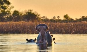 Botswana Botswana